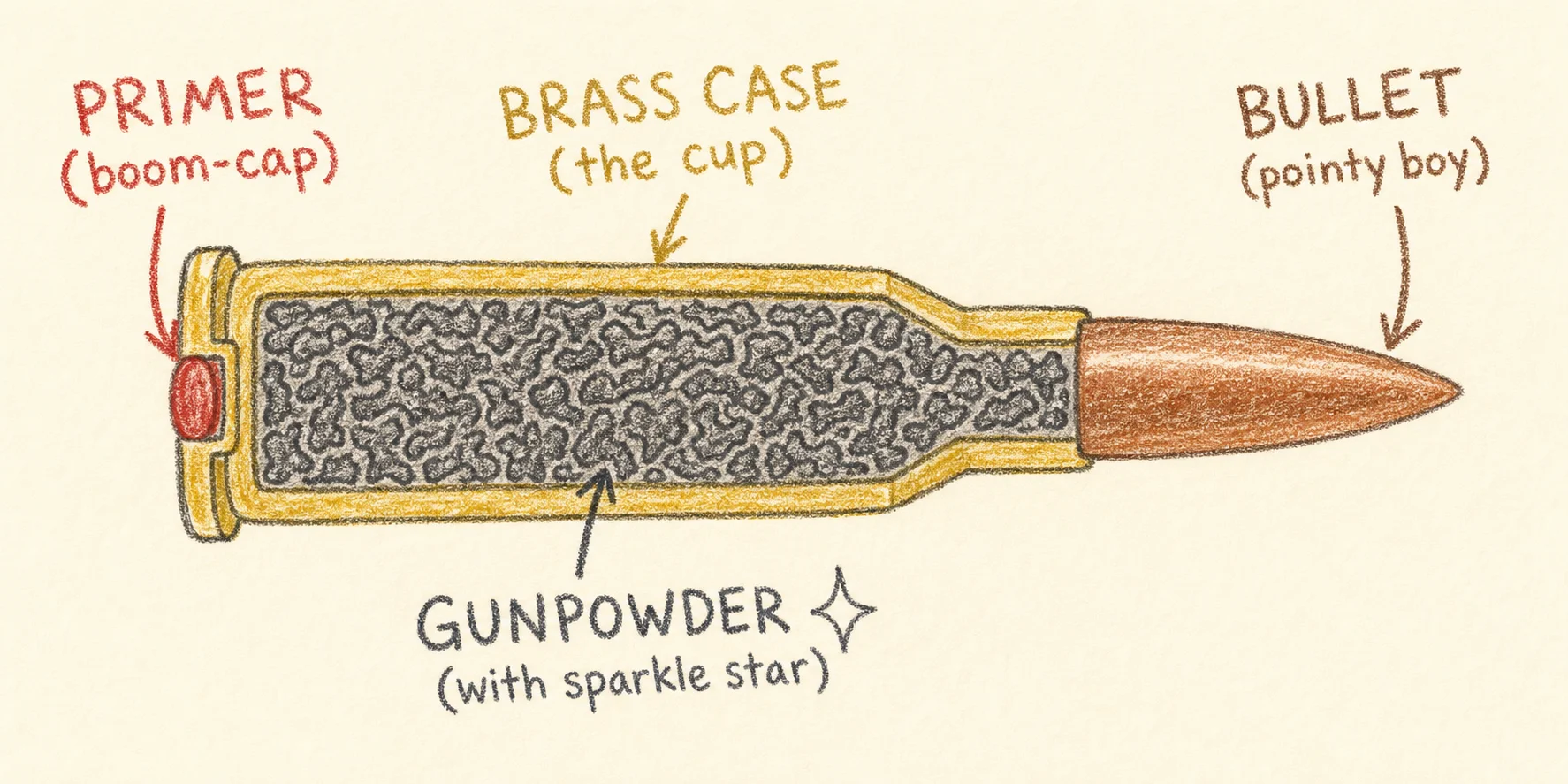 Crayon-style cutaway of a rifle cartridge with primer, brass case, gunpowder, and bullet labeled.